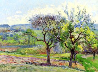 Spring Landscape