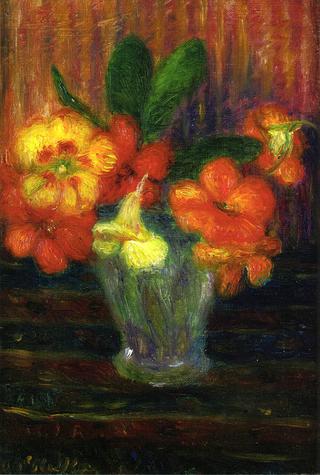 Nasturtiums in a Glass Vase