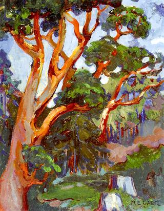 Arbutus Tree