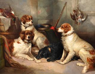 Gundogs in Gameroom
