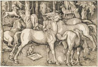 Stallion Approaching a Mare