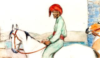 Persian of the Circus