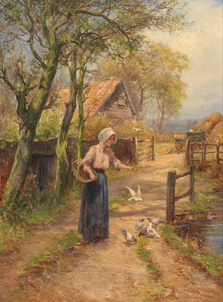 Woman Feeding Birds