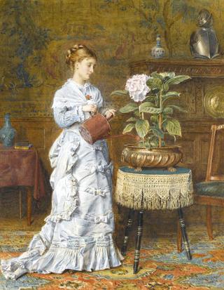 A Tender Plant