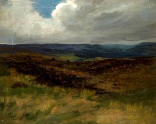 Moorland Scene