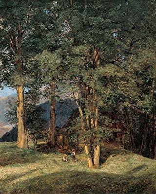 Sycamore Tress near Ischl