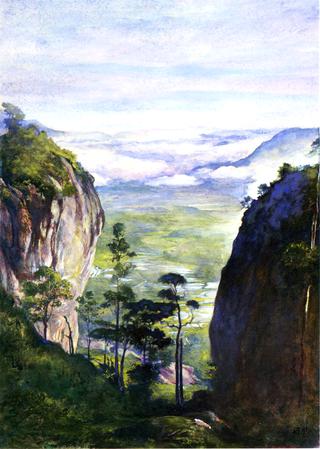 View in Ceylon, near Dambula, Looking over Rice Fields