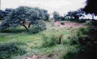 paisaje