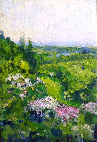 La valle di rododendri