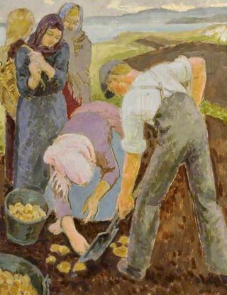 Donegal Potato Pickers