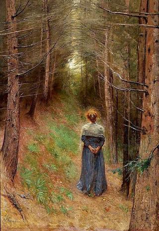 Pine Forest in Tyrol