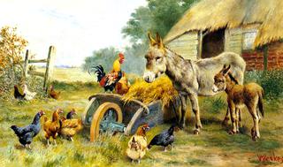 Fowl Talk