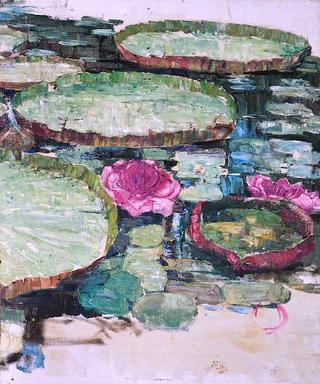 Waterlilies