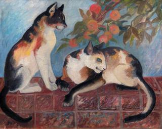 Cats