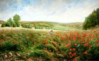 A Field of Flowers