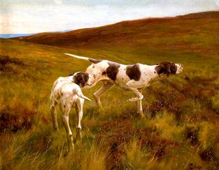 Pointers in a Landscape
