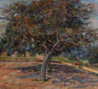 The Trees in Ille de France