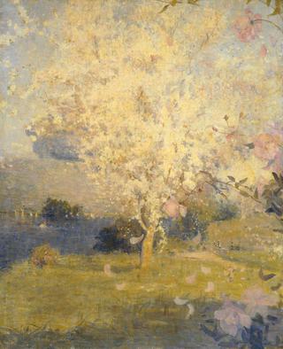 Springime