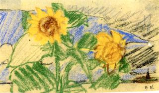 Yellow Sunflowers