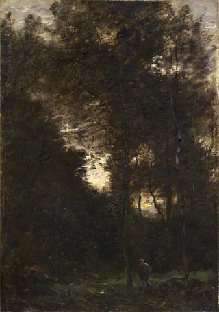Evening in the Woods