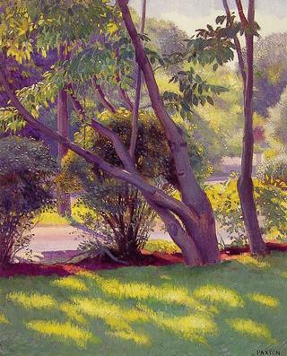 Lawn at Newton