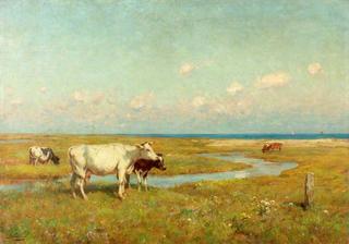 Suffolk Marshes