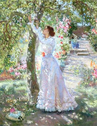 The Garden