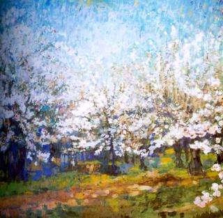 Apple Trees in Bloom