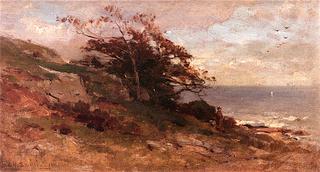 Landscape Near Sea