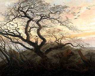 Raven Tree