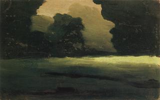 Forest Glade