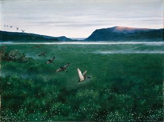 Twelve Wild Ducks