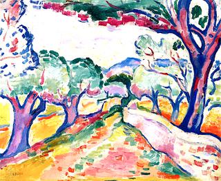 Olive Grove