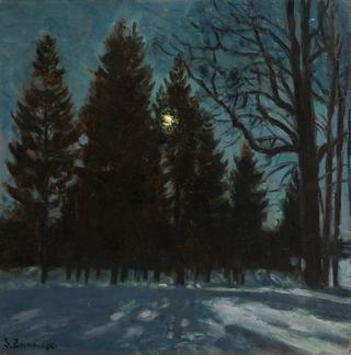 Winter Night