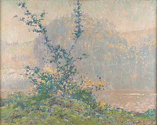 Opalescent Morning