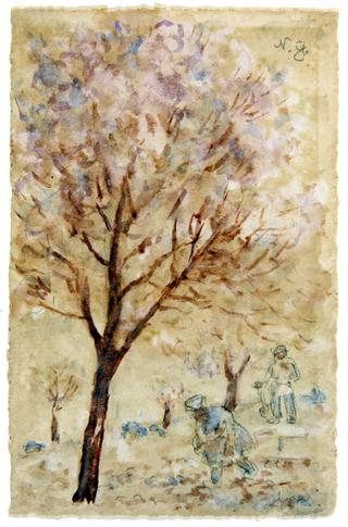 Landscape