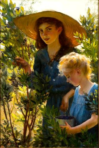 Picking Blueberries