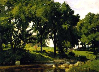 Summer Landscape