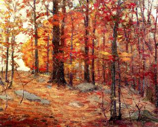 Northeastern Forest
