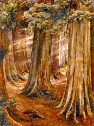Wood Interior