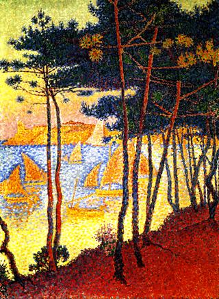 Sails and Pines