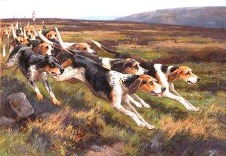 The Holcombe Harriers