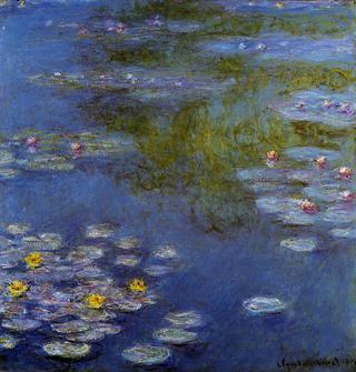 Water-Lilies