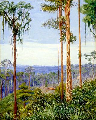 View of Matang, Sarawak, Borneo