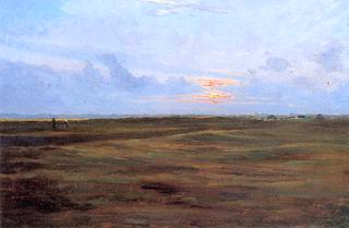 The Marsh