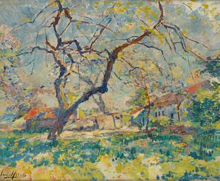 Orchard in Springtime