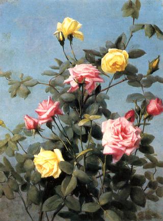 Pink and Yellow Roses