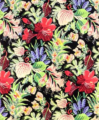 Flowers and Butterflies