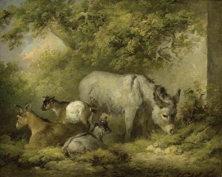 农家庭院场景：驴和山羊