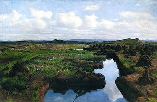 Peat Land in the District of Jæren